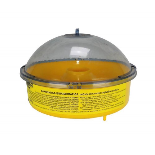 ANELi putukapüünised 