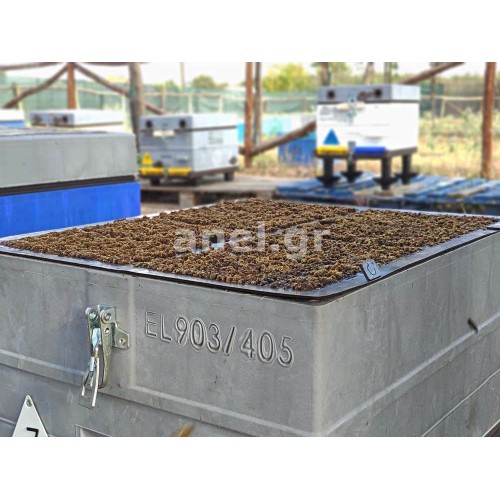 Propolisa savācējs 42x51cm (JAUNAIS MODELIS)