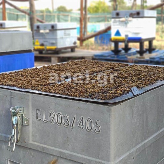 Propolisa savācējs 42x51cm (JAUNAIS MODELIS)