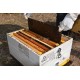 Beehive Vertical Divider - Queen Excluder Adjustable ANEL Langstroth