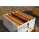 Beehive Vertical Divider - Queen Excluder Adjustable ANEL Langstroth