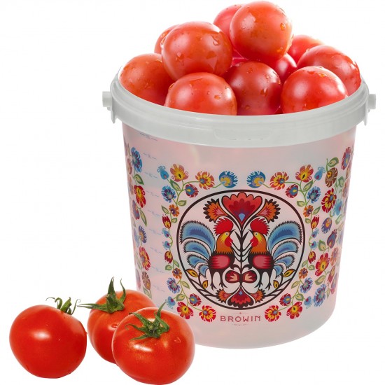 Food bucket "GWIOZDA" 10 L with lid