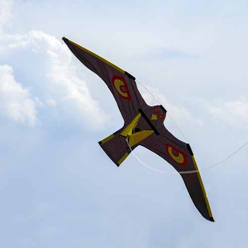 Bird repeller - kite