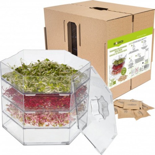 Multi tier seed sprouter + radish seeds