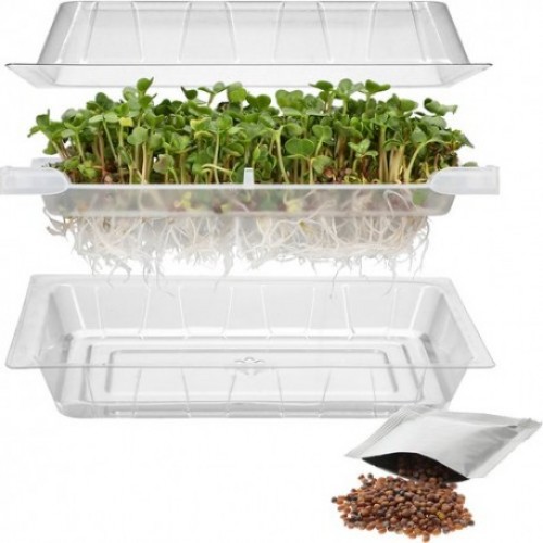 Seed sprouter tray + radish seeds