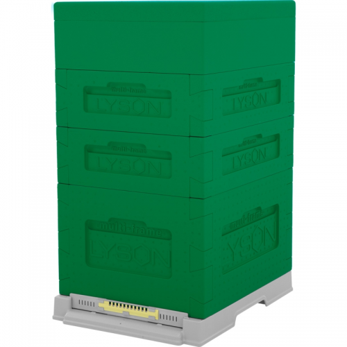 Multi-frame 10-frames Dadant beehive
