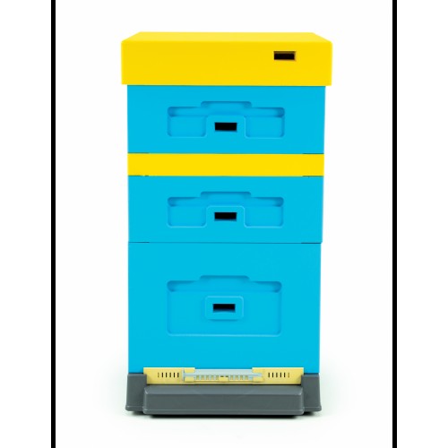 Beehive with hygienic plastic raised floor DADANT, painted