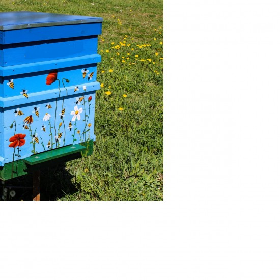 Nekrāsots Latvijas stāvstrops ar taisnu jumtu