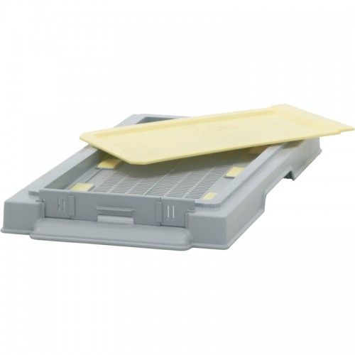 Multi-frame plastic low bottom board, hygenic