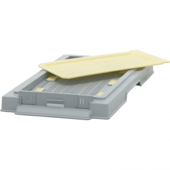 Multi-frame plastic low bottom board, hygenic