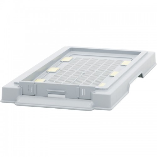 Multi-frame plastic low bottom board, hygenic